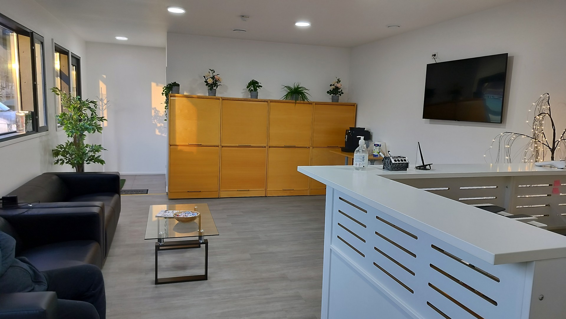 Maestrocar workplace